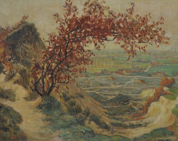 Nackaerts Collection - Image 829