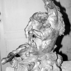 Jarnost Gause, Aangevallen paard