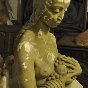 Bernard Callie, Flora