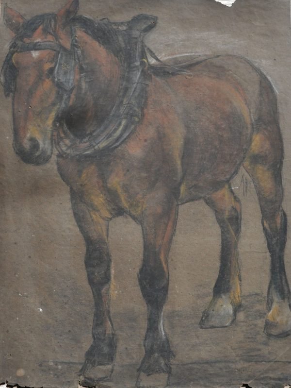 Nackaerts Collection - Image 281