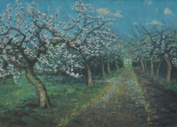 Nackaerts Collection - Image 219