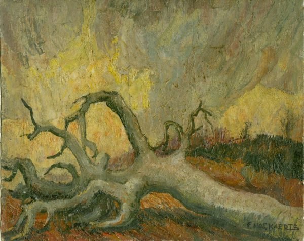 Nackaerts Collection - Image 707