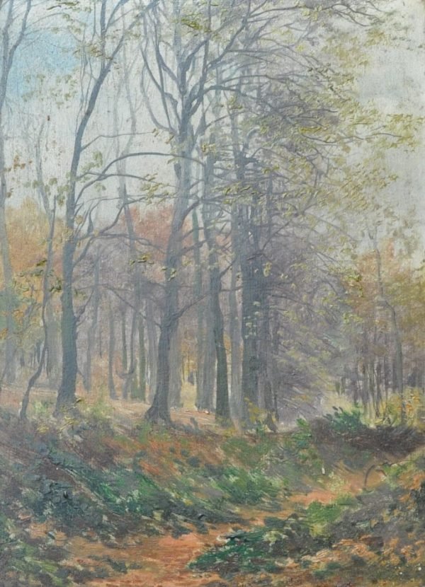 Edgard Delaunois