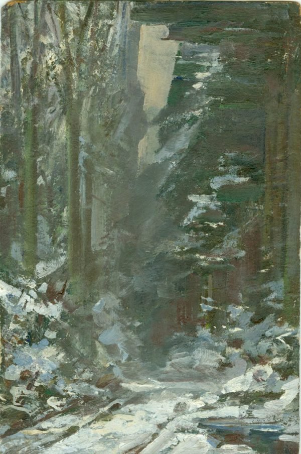 Edgard Delaunois