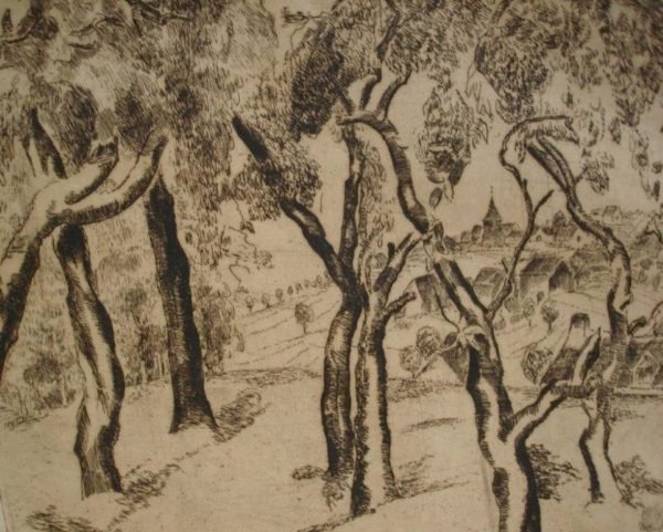 Willem Paerels