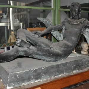 Hupet, Icarus