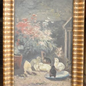 Kuikentjes,  13,5/19 cm.