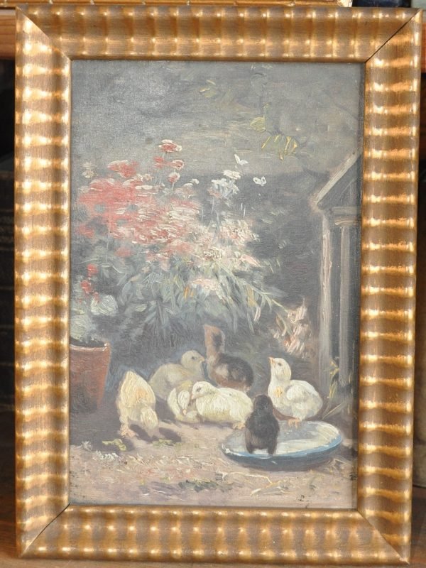 Kuikentjes,  13,5/19 cm.