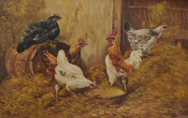 P. Schouten
