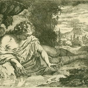 A. Houbraken, Narcissus