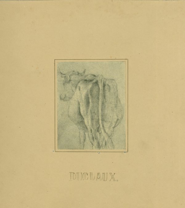 Duclaux