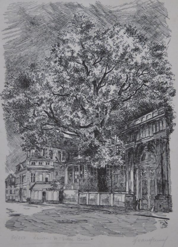 Frans Vanderveken,  De Dikke Boom 1935
