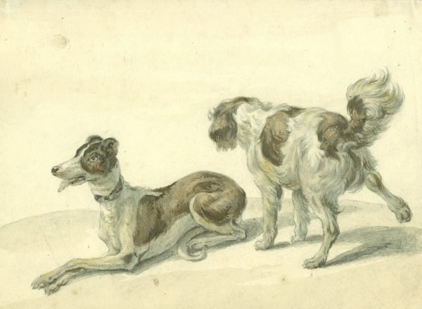 W. Verschuur