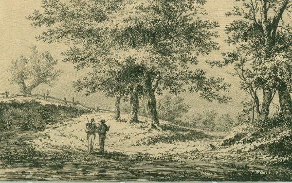 Landschap