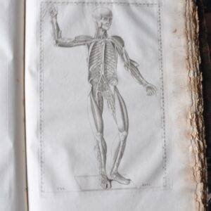 Boekdeel met anatomische afbeeldingen 18de eeuw
