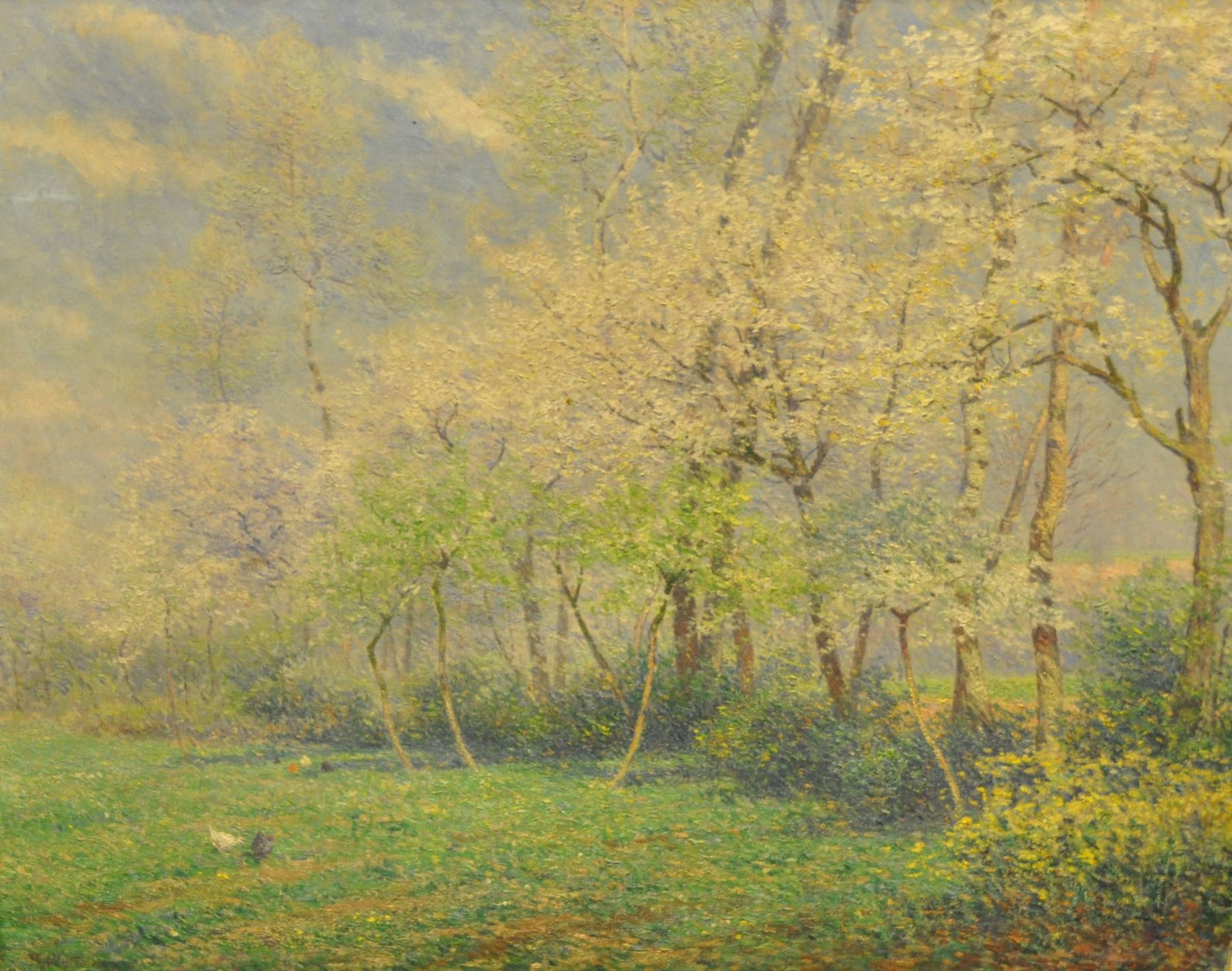 R. Wytsman, Les cérisiers, luministisch meesterwerk, - Image 2